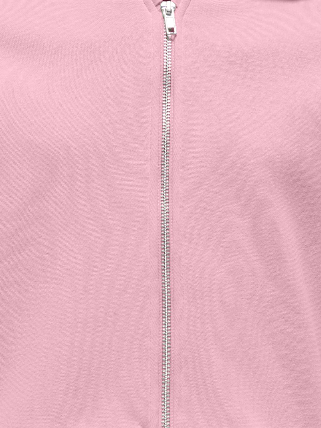 model_shot-detail