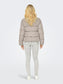 model_shot-back