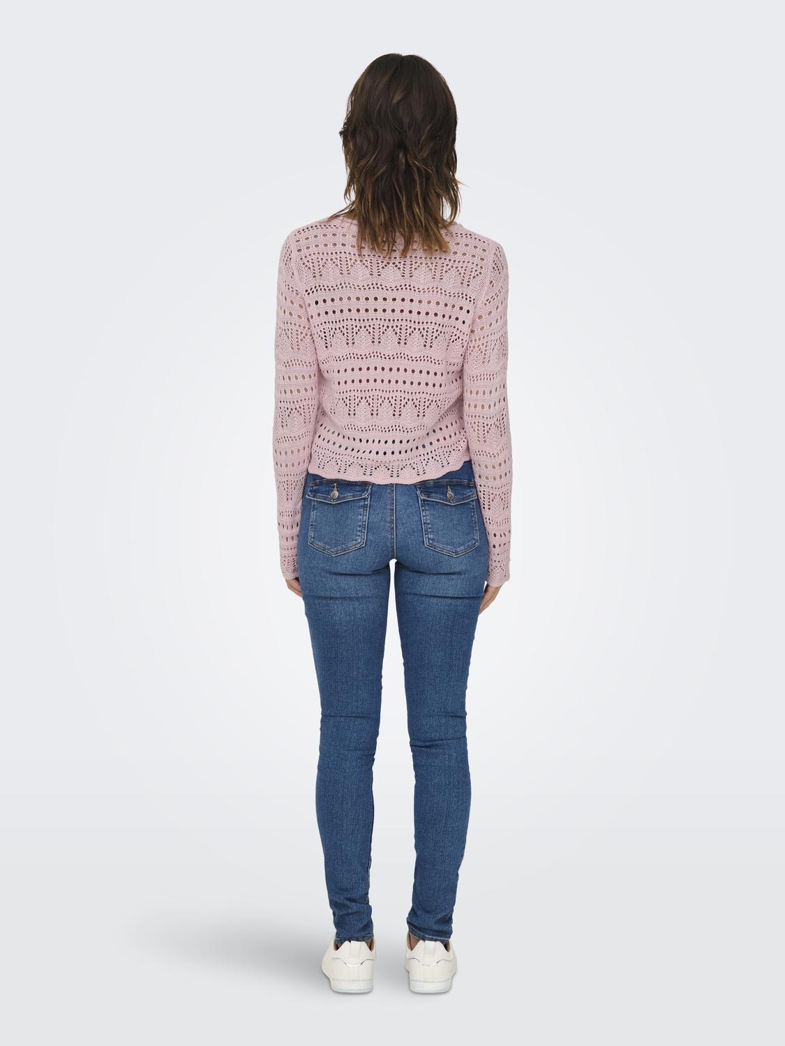 model_shot-back