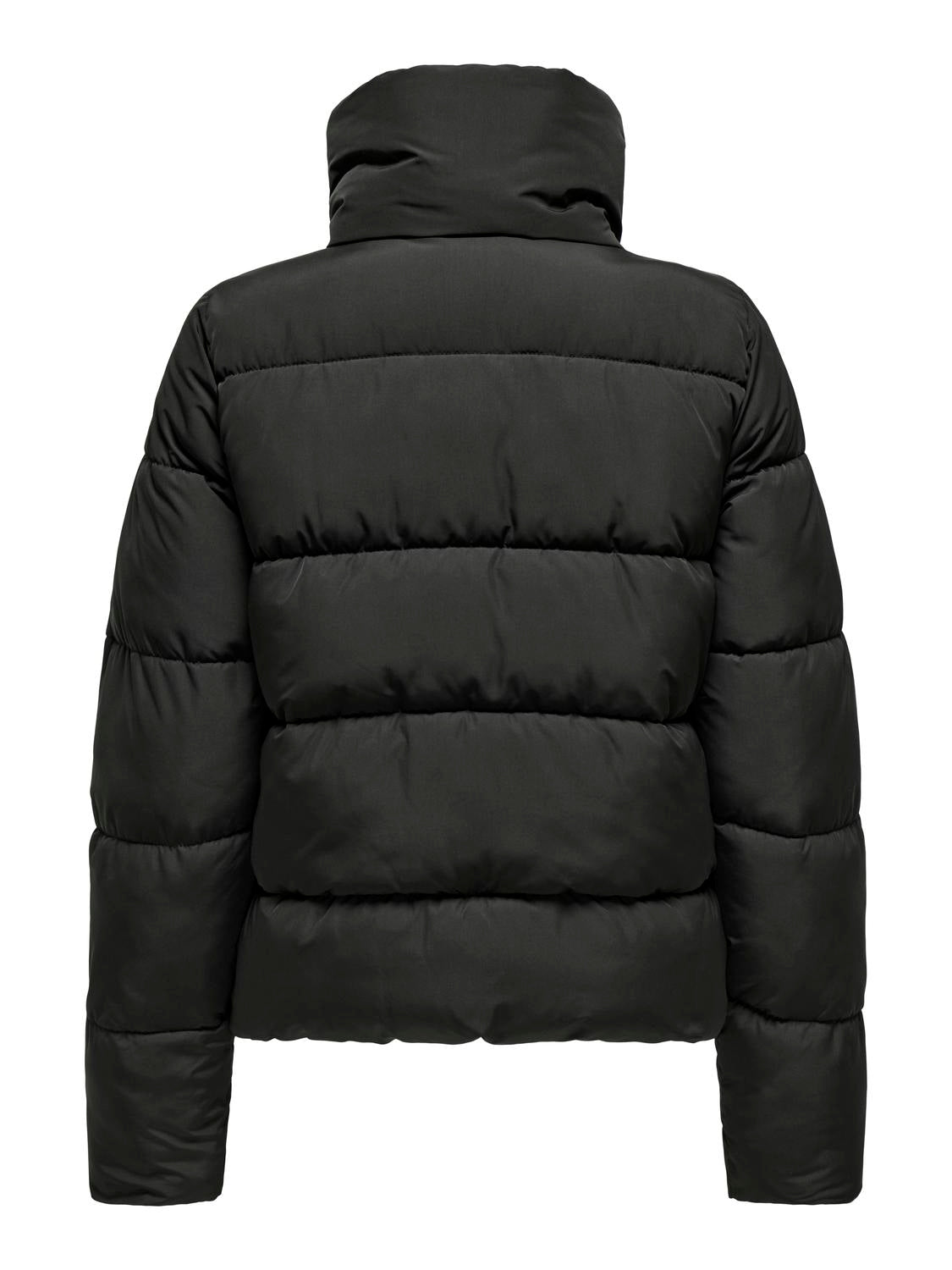 pack_shot-back