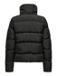 pack_shot-back