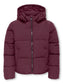 pack_shot-front