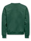 pack_shot-back